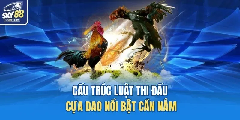 Cấu trúc luật thi đấu cựa dao nổi bật cần nắm