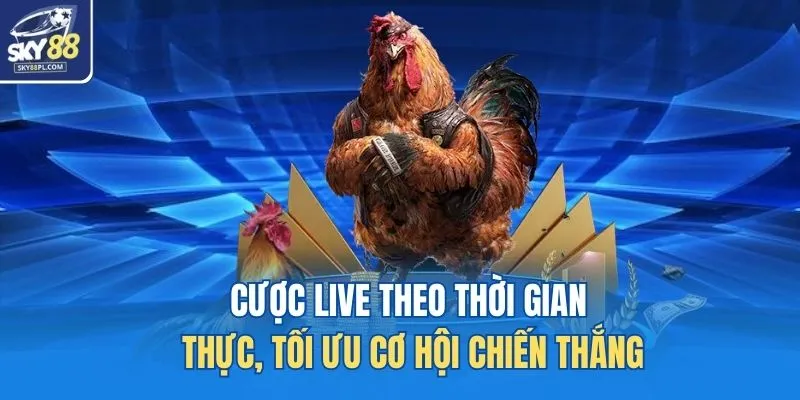 Cược live theo thời gian thực, tối ưu cơ hội chiến thắng