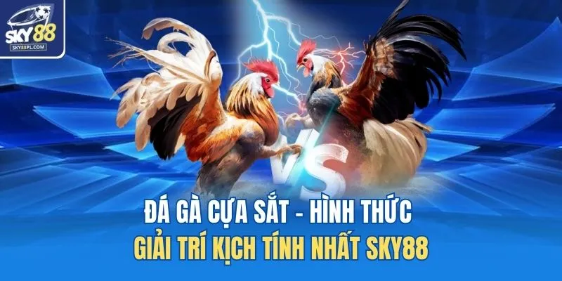 Đá gà cựa sắt