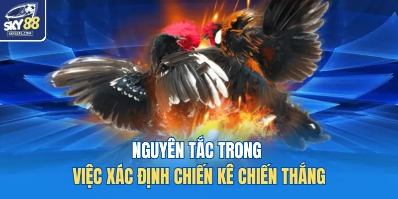 Nguyên tắc trong việc xác định chiến kê chiến thắng