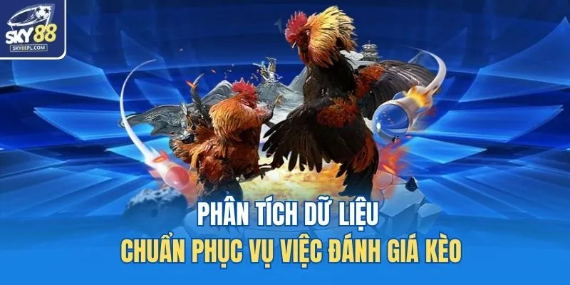 Phân tích dữ liệu chuẩn phục vụ việc đánh giá kèo